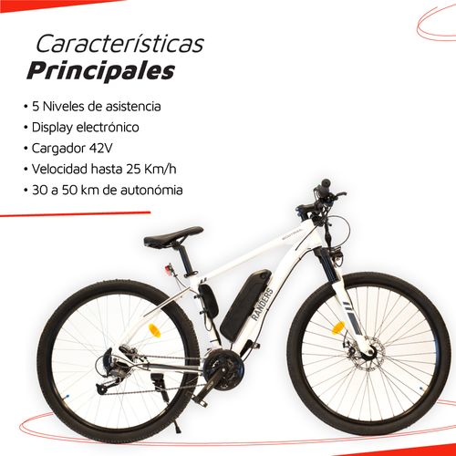 Bicicleta Electrica R29